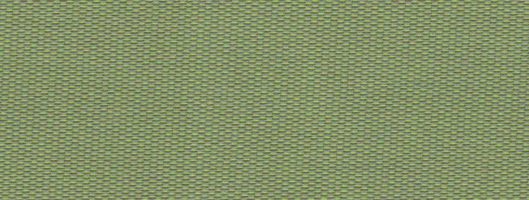 3665 PANAMA GRASS