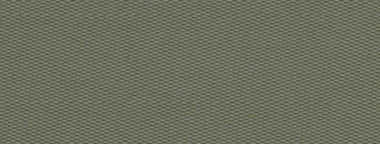 3667 PANAMA ALGA